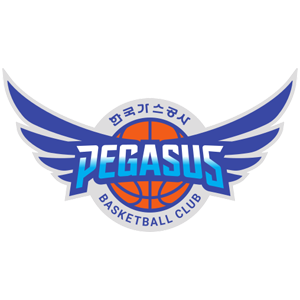 大邱石油公社飞马