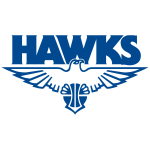 佩里湖老鹰女篮