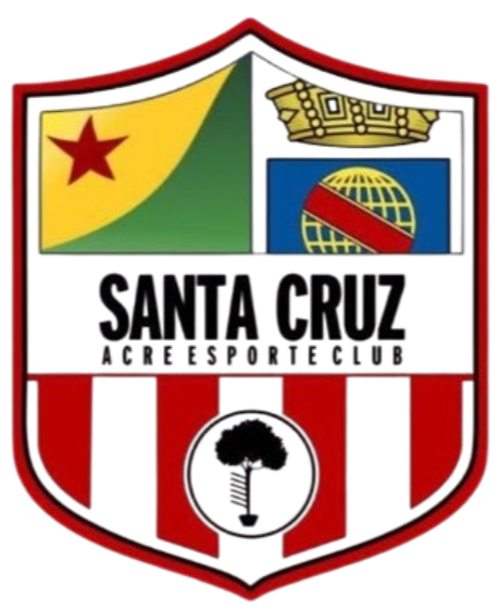 圣克鲁斯阿尔塞