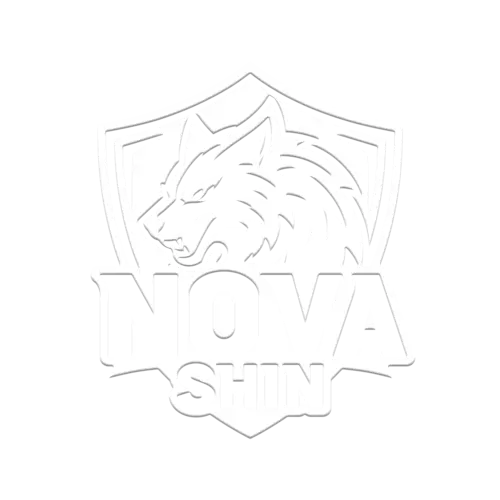 新新